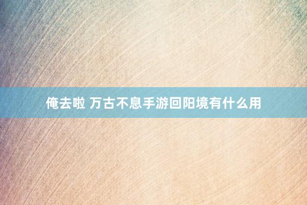 俺去啦 万古不息手游回阳境有什么用
