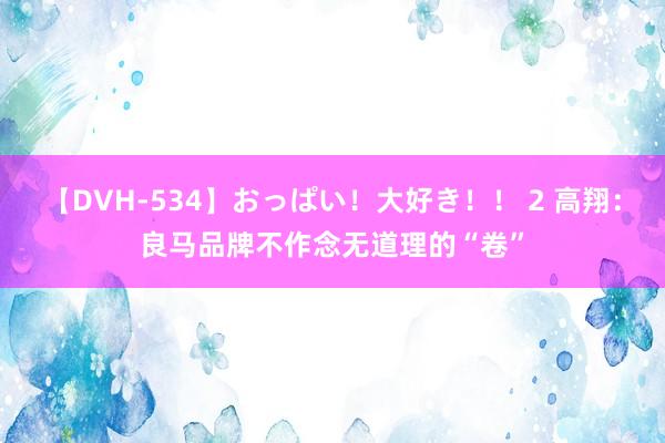 【DVH-534】おっぱい！大好き！！ 2 高翔：良马品牌不作念无道理的“卷”