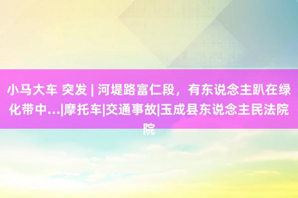 小马大车 突发 | 河堤路富仁段，有东说念主趴在绿化带中...|摩托车|交通事故|玉成县东说念主民法院