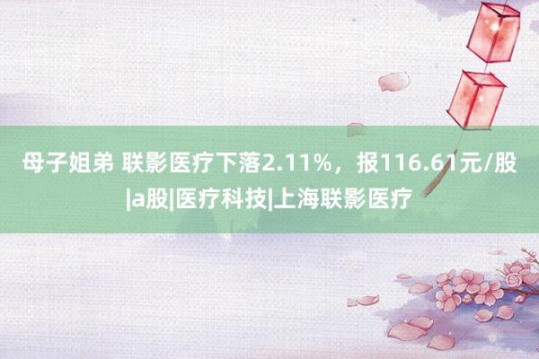 母子姐弟 联影医疗下落2.11%，报116.61元/股|a股|医疗科技|上海联影医疗