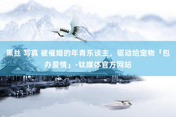 黑丝 写真 被催婚的年青东谈主，驱动给宠物「包办爱情」-钛媒体官方网站