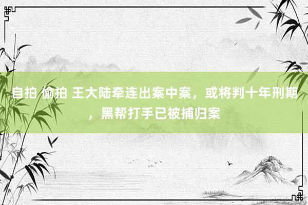 自拍 偷拍 王大陆牵连出案中案，或将判十年刑期，黑帮打手已被捕归案