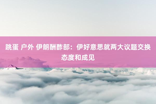 跳蛋 户外 伊朗酬酢部：伊好意思就两大议题交换态度和成见