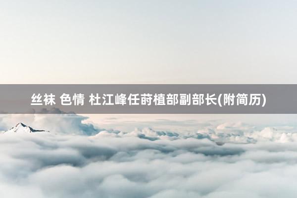 丝袜 色情 杜江峰任莳植部副部长(附简历)