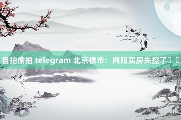 自拍偷拍 telegram 北京楼市：向阳买房失控了❗️