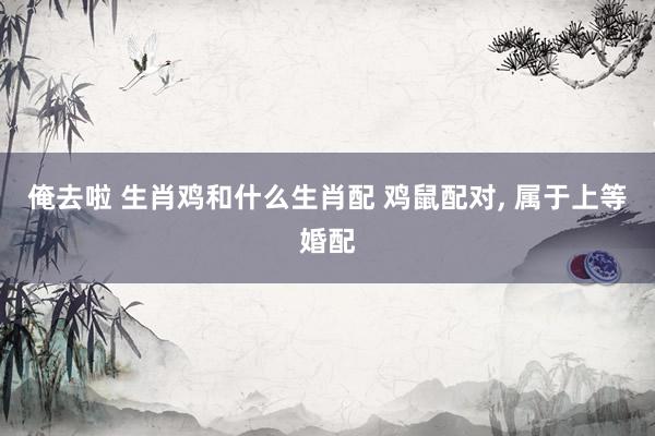 俺去啦 生肖鸡和什么生肖配 鸡鼠配对， 属于上等婚配