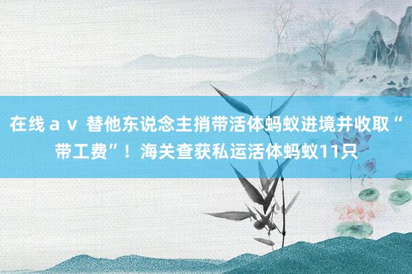 在线ａｖ 替他东说念主捎带活体蚂蚁进境并收取“带工费”！海关查获私运活体蚂蚁11只